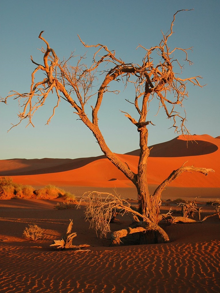 073   Namibia